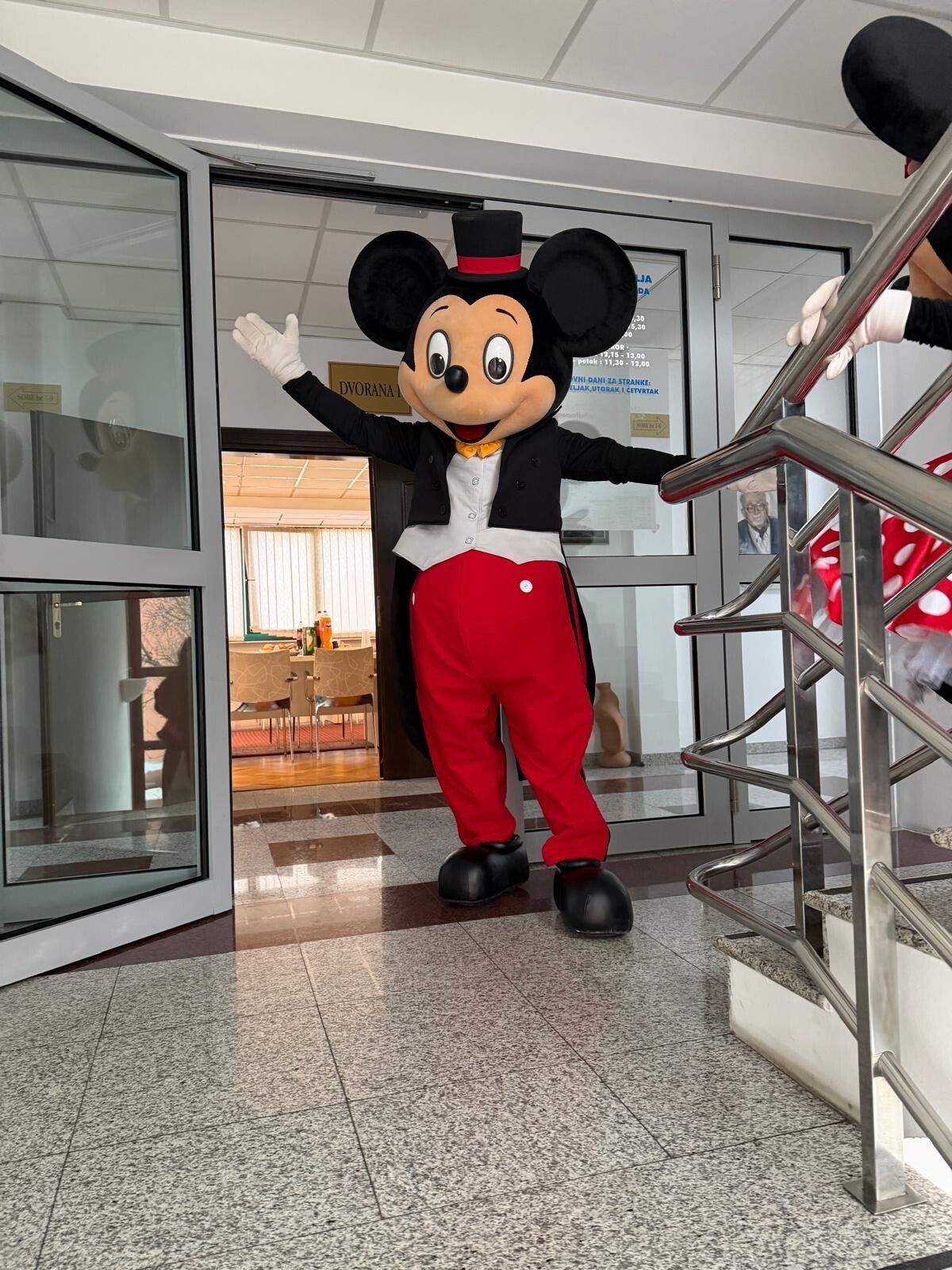 Mickey maskota s gostima